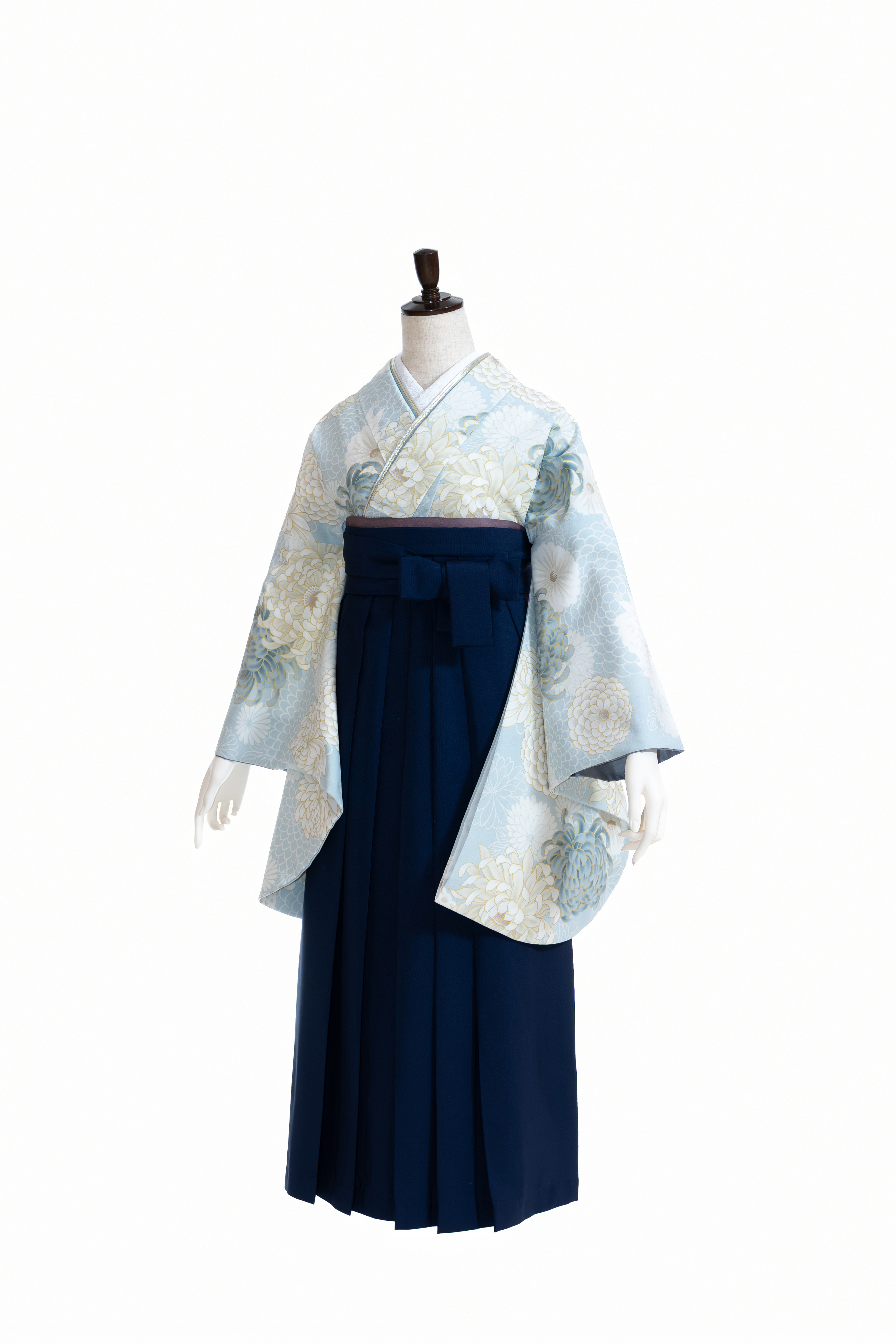 花乱菊